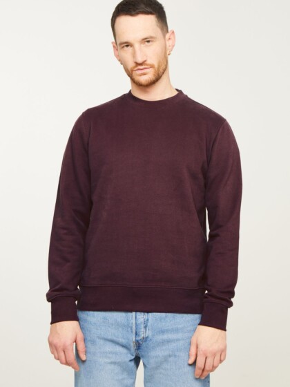 Sweatshirt Tamarillo dark plum von recolution